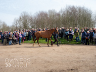 BP200326-64 - It's Hard To Know